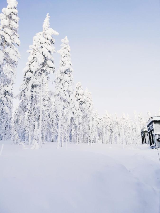 Levi Sky Igloo With Private Sauna And Hot Tub المظهر الخارجي الصورة